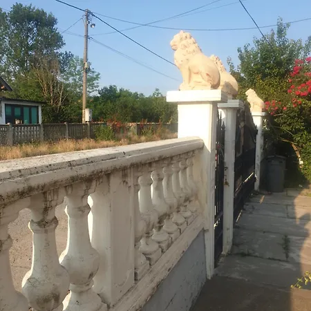 Zdravkovic